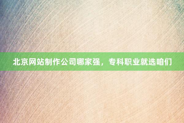 北京网站制作公司哪家强，专科职业就选咱们