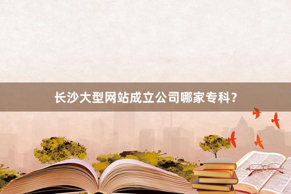 长沙大型网站成立公司哪家专科？