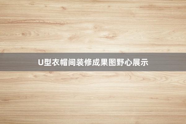 U型衣帽间装修成果图野心展示